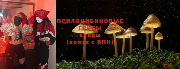 мдпв Ладушкин
