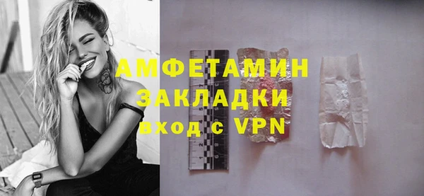 мдпв Ладушкин