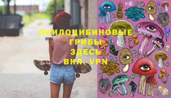 mdma Лагань