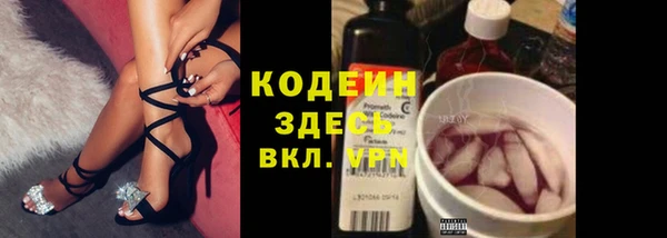 мдпв Ладушкин