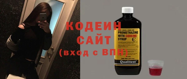 мдпв Ладушкин
