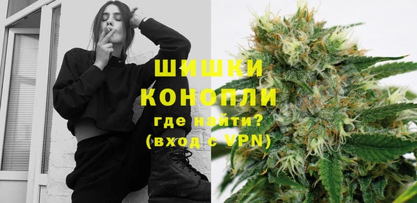 мдпв Ладушкин