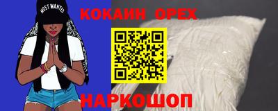 ешки Гай