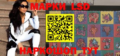 apvp Гатчина