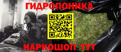 apvp Гатчина