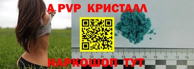 ешки Гай