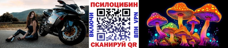 Галлюциногенные грибы GOLDEN TEACHER Заречный