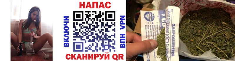где продают   Заречный  Шишки марихуана сатива 