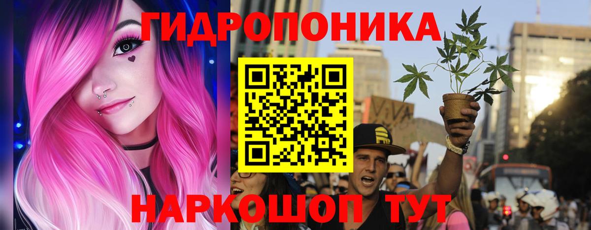 Шишки марихуана Amnesia  Вход с VPN  Канабис Bruce Banner  Шишки марихуана THC 21%  Заречный 